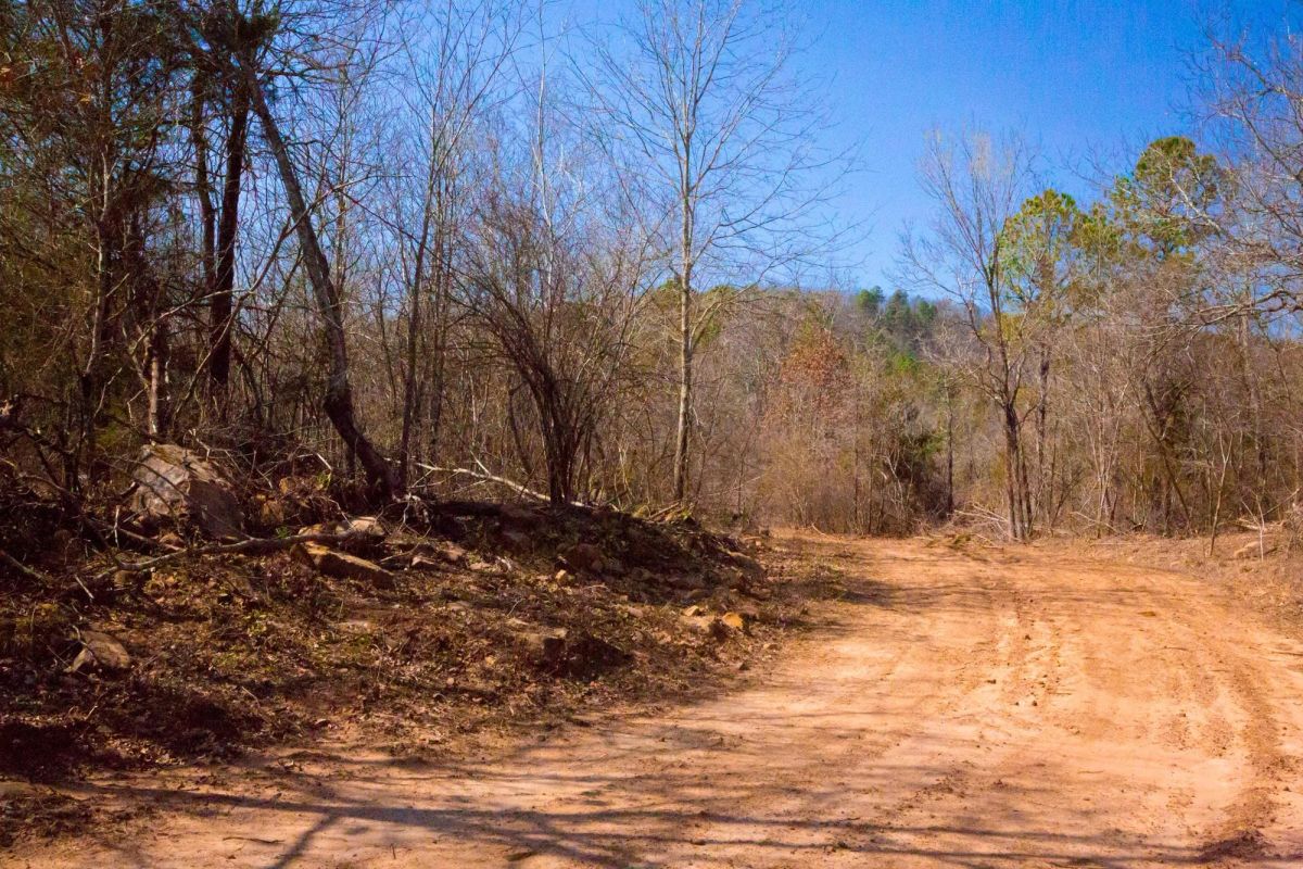 Decorative background for Stone Creek Phase II Tract 127 image 9