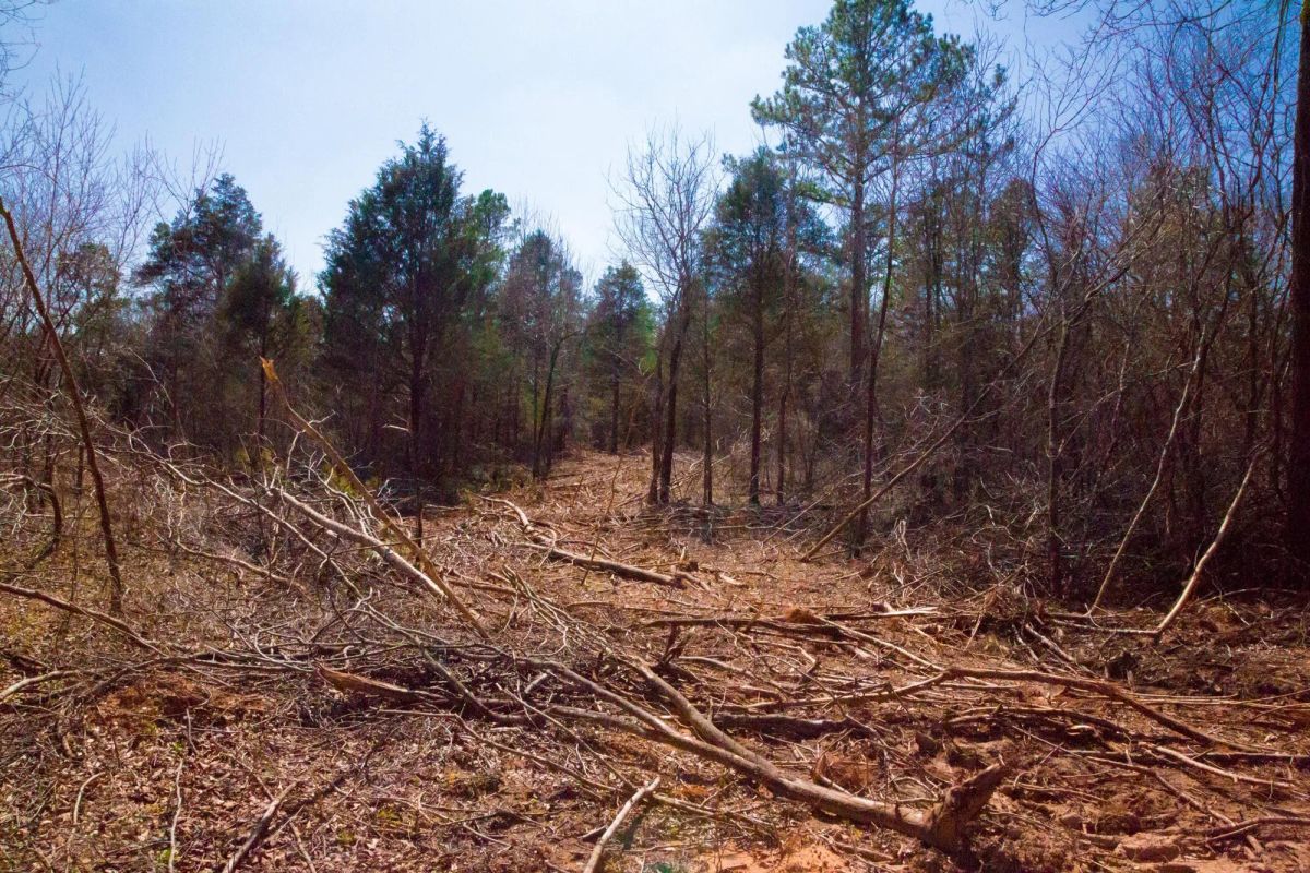 Decorative background for Stone Creek Phase II Tract 127 image 10