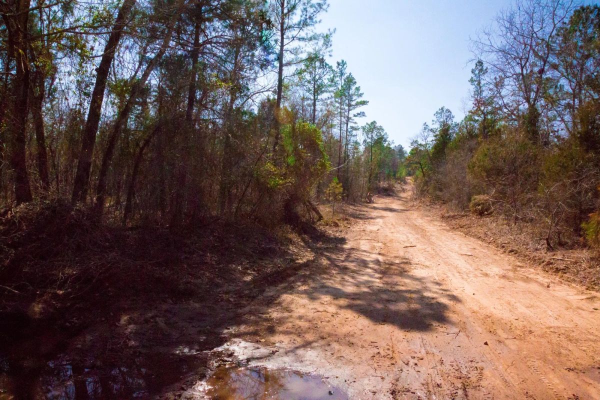 Decorative background for Stone Creek Phase II Tract 127 image 11
