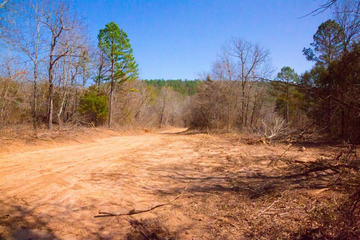 Decorative background for Stone Creek Phase II Tract 127 image 12