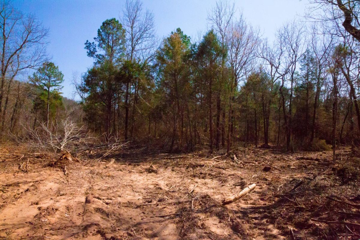 Decorative background for Stone Creek Phase II Tract 127 image 13