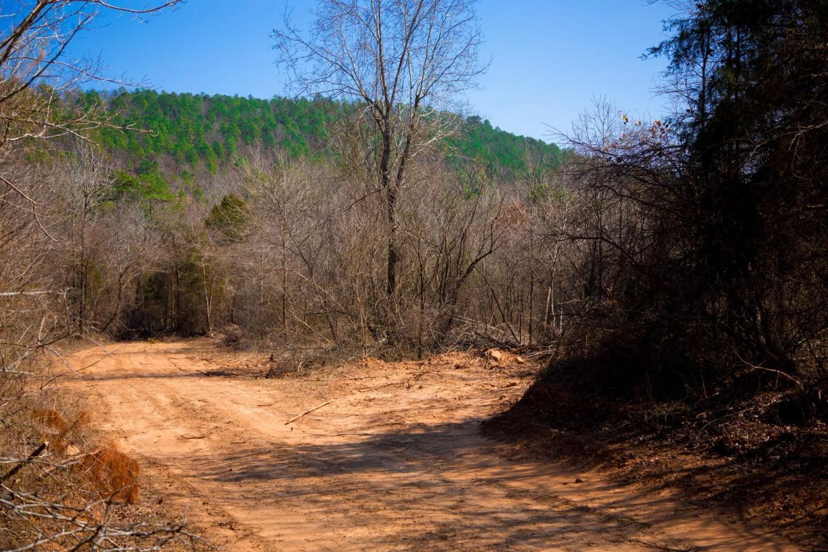 Decorative background for Stone Creek Phase II Tract 127 image 15