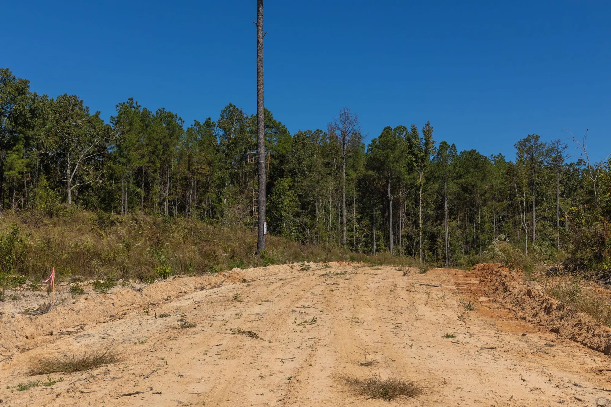 Meyer’s Ridge Tract 16 in Attala County, MS