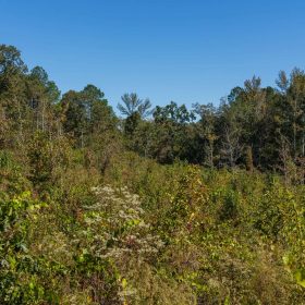 Meyer’s Ridge Tract 16 in Attala County, MS