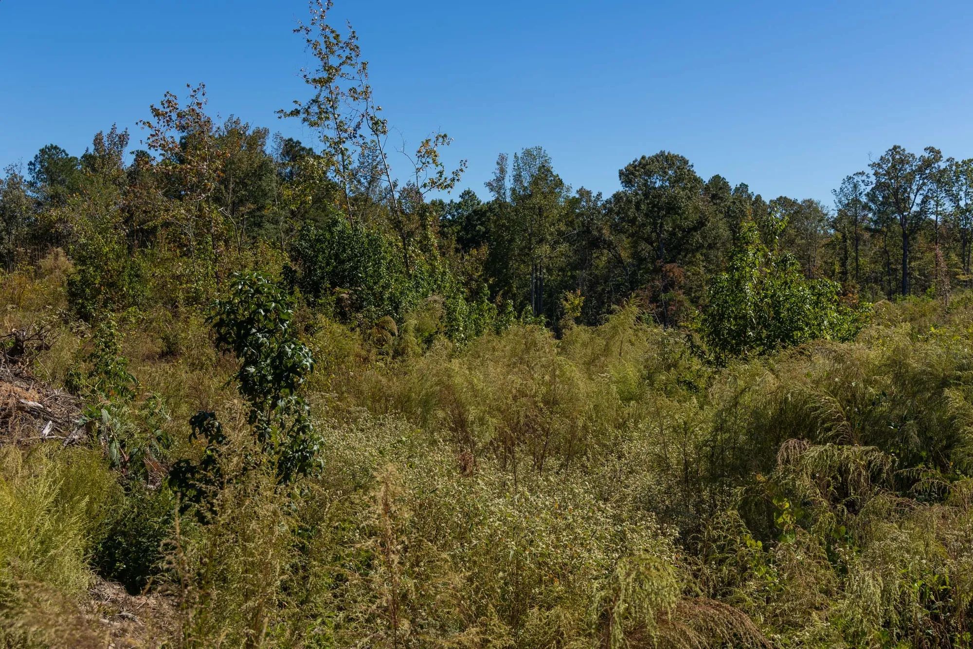 Meyer’s Ridge Tract 16 in Attala County, MS