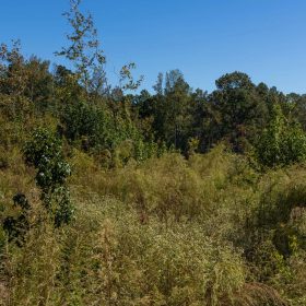Meyer’s Ridge Tract 16 in Attala County, MS