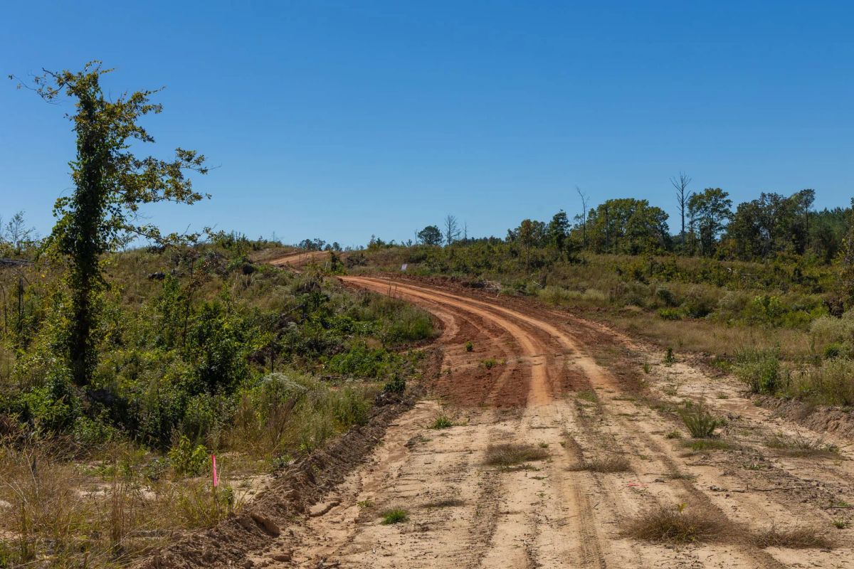 Decorative background for Meyer’s Ridge Tract 16 image 7