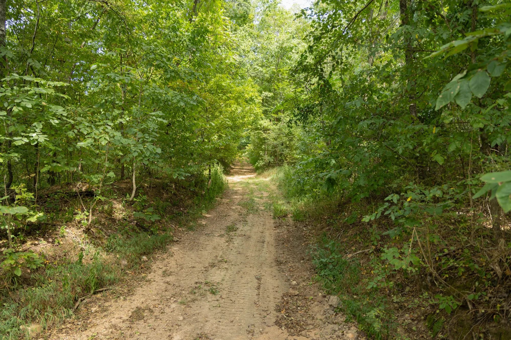 Big White Oak Tract 120 in Perry County, TN