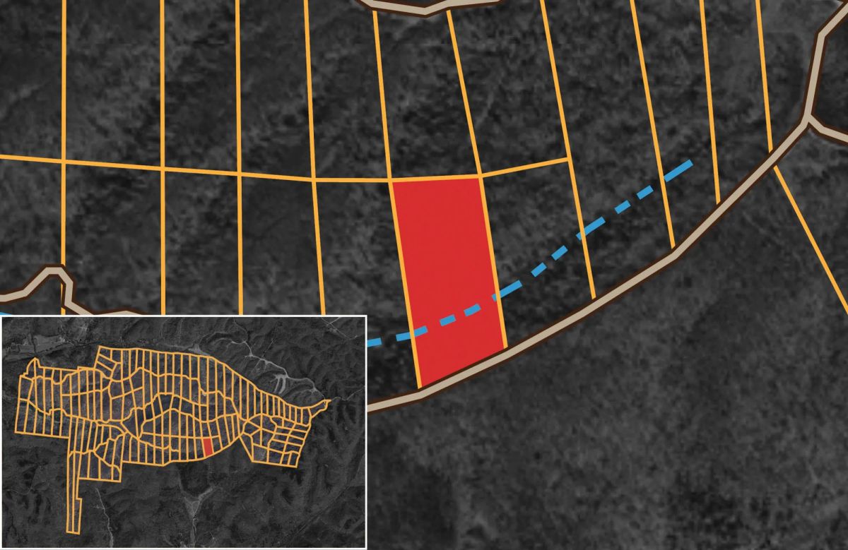 Decorative background for Big White Oak Tract 120 image 19