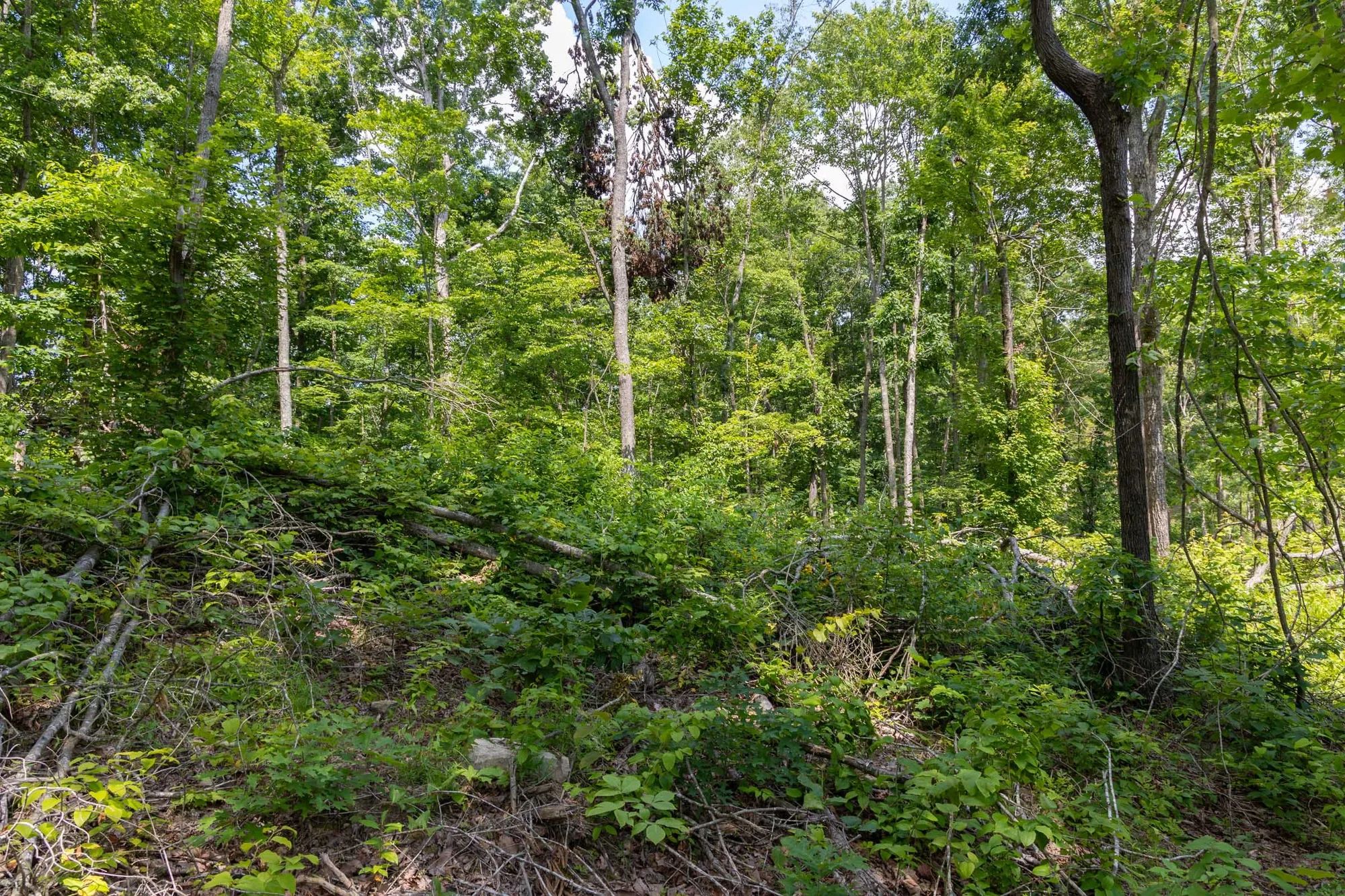 Creek Hollow Phase II Tract 59 in Rockcastle County, KY