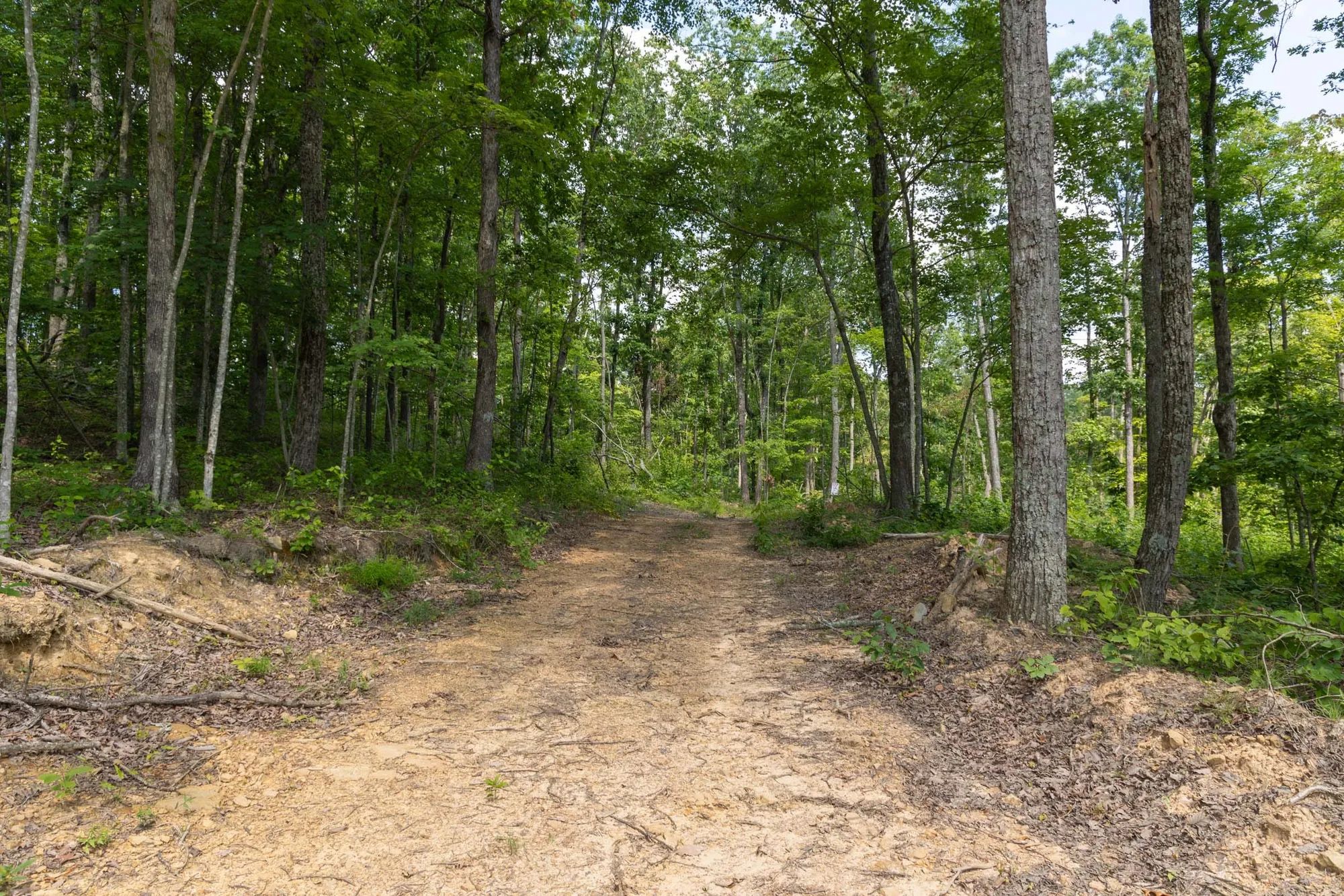 Creek Hollow Phase II Tract 59 in Rockcastle County, KY