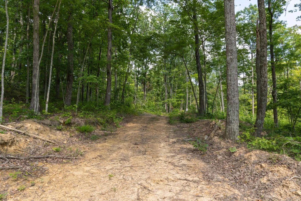Creek Hollow Phase II Tract 59 - Image 2