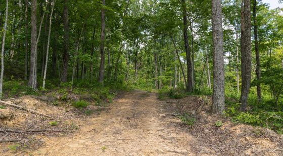 Creek Hollow Phase II Tract 59 in Rockcastle County, KY