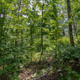 Creek Hollow Phase II Tract 59 in Rockcastle County, KY