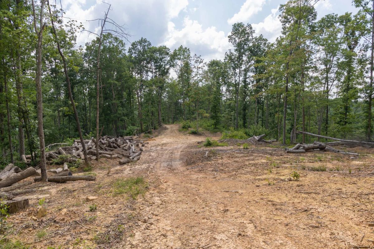 Decorative background for Creek Hollow Phase II Tract 59 image 5
