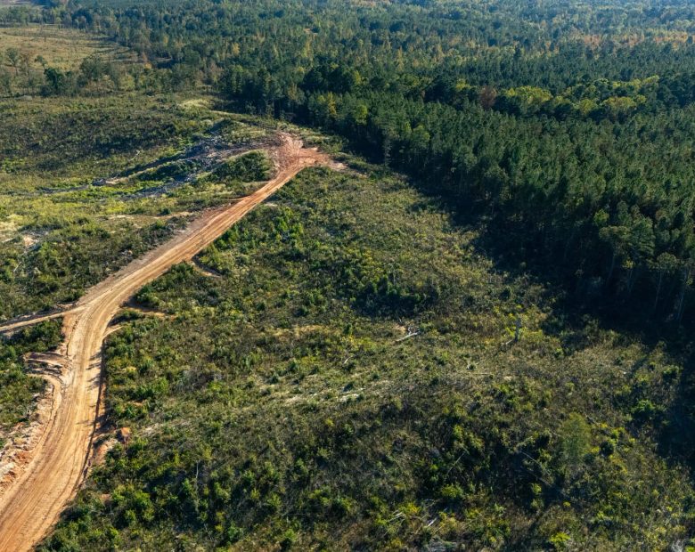 Meyer’s Ridge Tract 40 in Attala County, MS