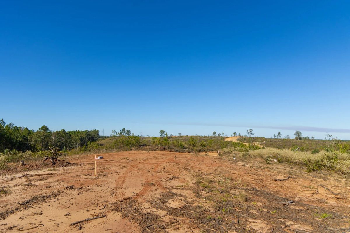 Meyer’s Ridge Tract 40 - Image 2