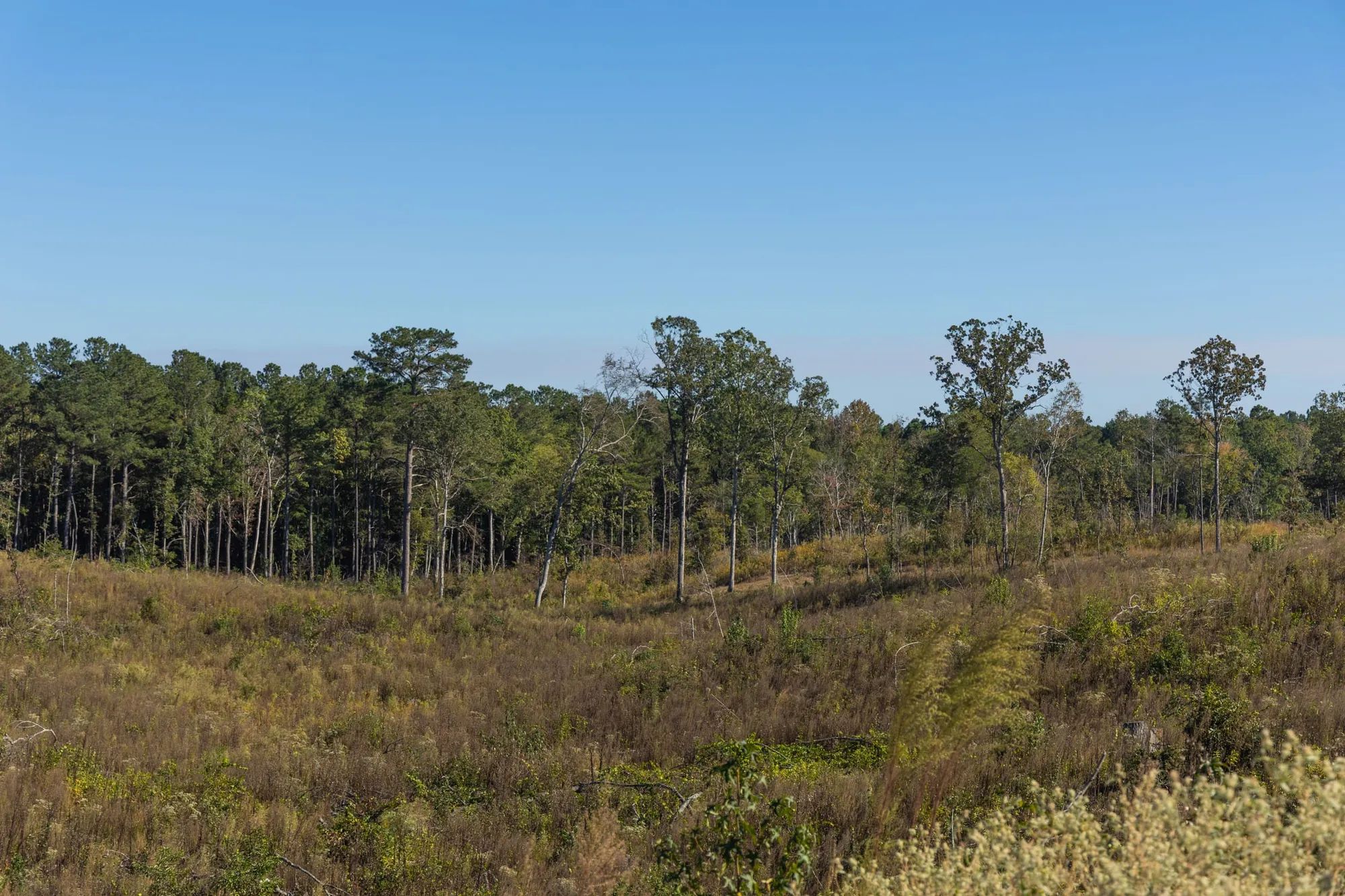 Meyer’s Ridge Tract 40 in Attala County, MS