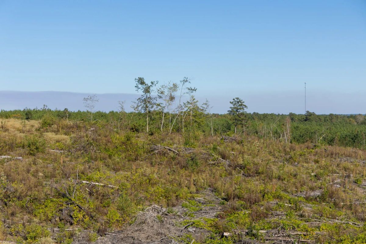 Decorative background for Meyer’s Ridge Tract 40 image 5
