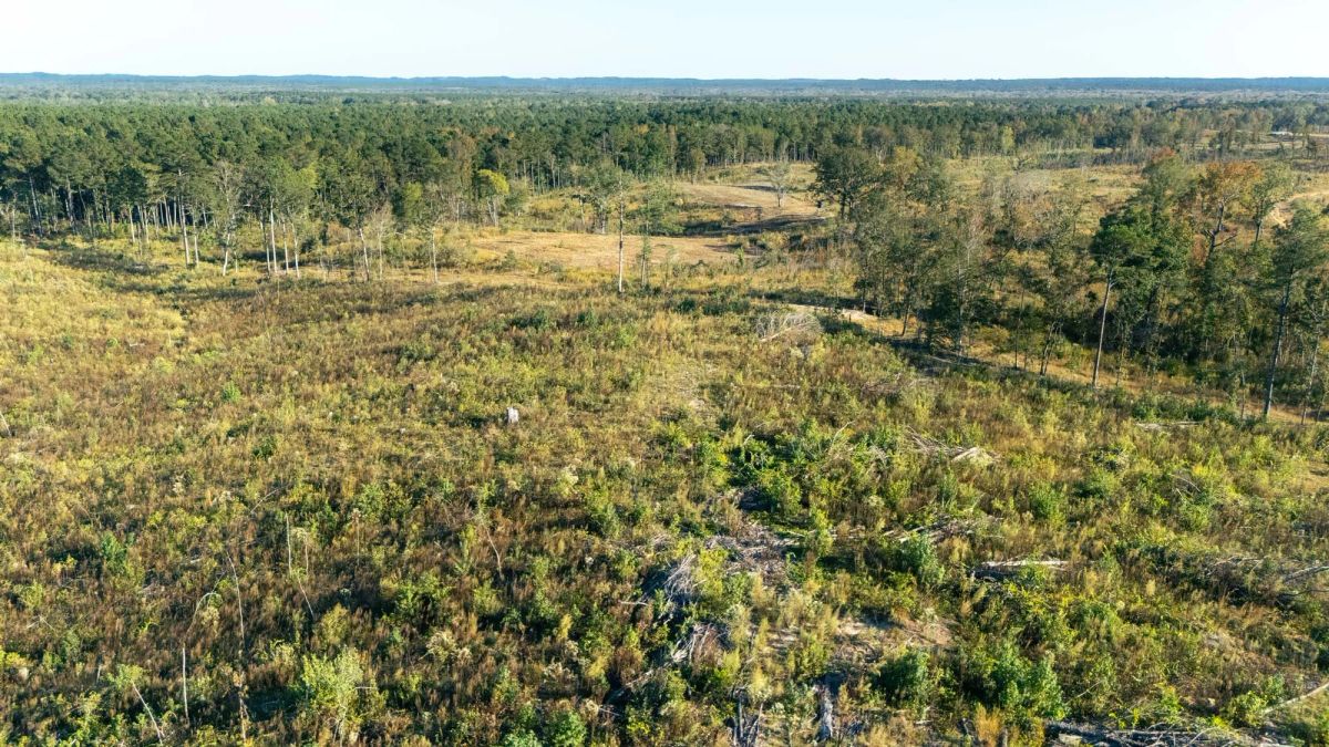 Decorative background for Meyer’s Ridge Tract 40 image 6