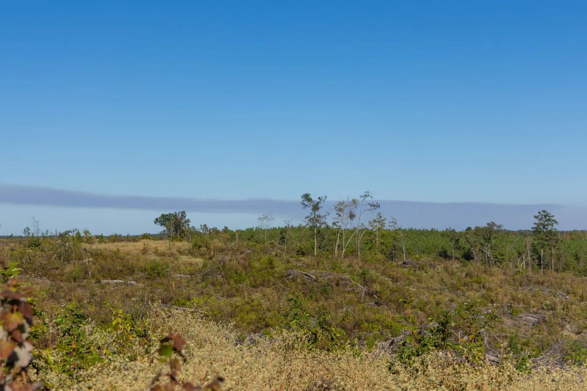 Decorative background for Meyer’s Ridge Tract 40 image 10
