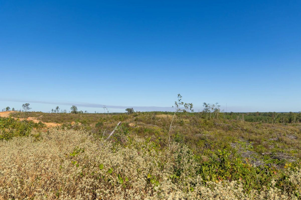 Decorative background for Meyer’s Ridge Tract 40 image 11