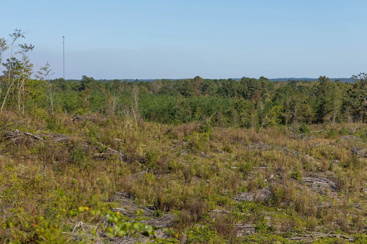Decorative background for Meyer’s Ridge Tract 40 image 12