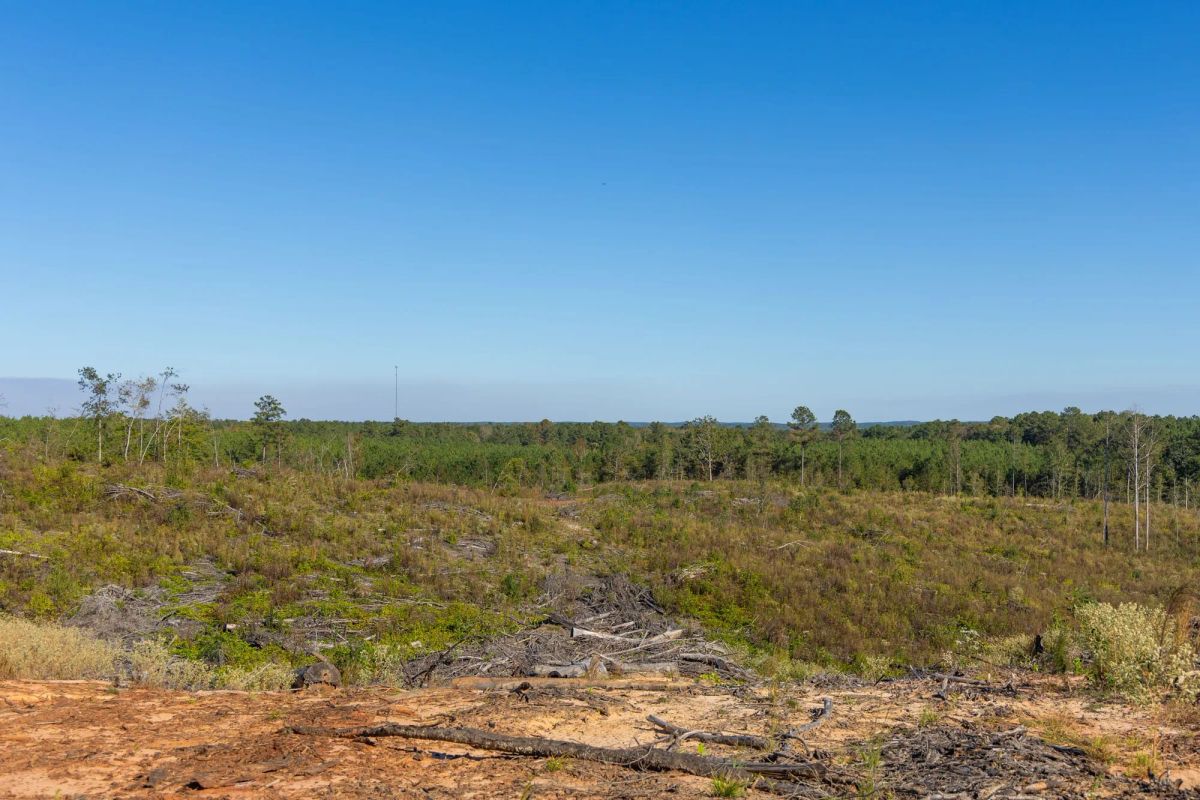 Decorative background for Meyer’s Ridge Tract 40 image 13