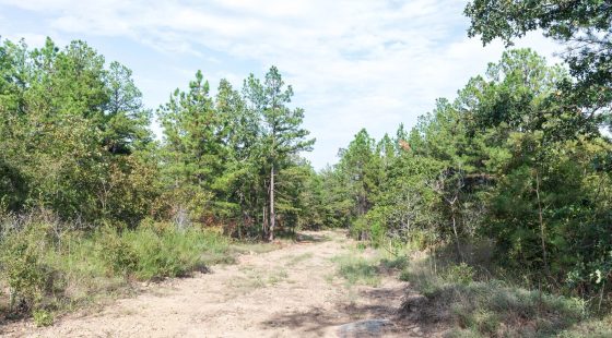 Stone Bridge Phase V Tract 399 in Latimer County, OK