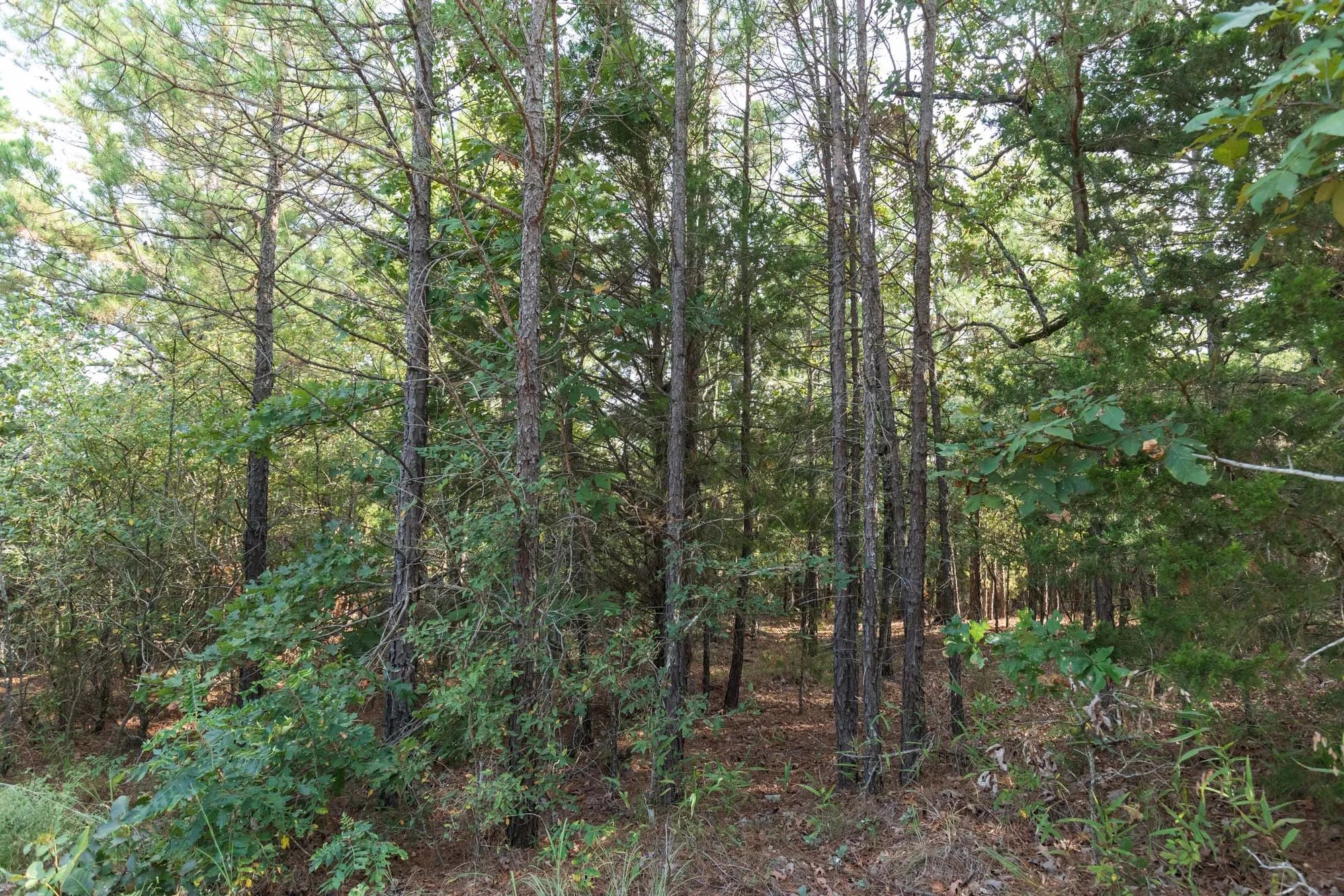Stone Bridge Phase V Tract 399 in Latimer County, OK