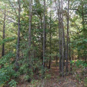 Stone Bridge Phase V Tract 399 in Latimer County, OK