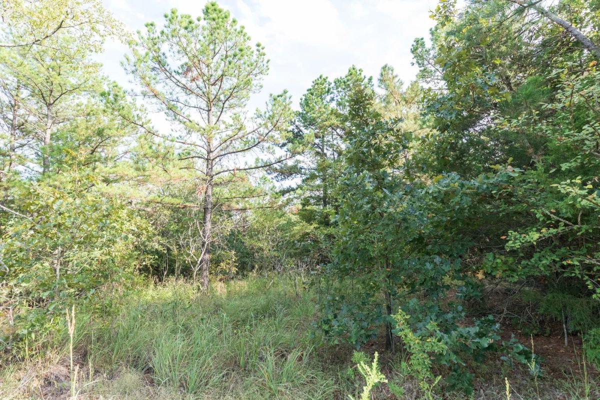 Decorative background for Stone Bridge Phase V Tract 399 image 5