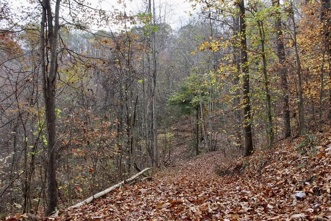 Autumn Ridge Tract 18 - Main image