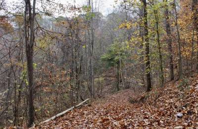 Autumn Ridge Tract 18