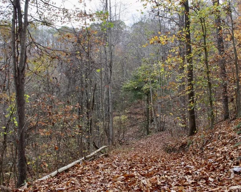Autumn Ridge Tract 18 in Leslie County, KY