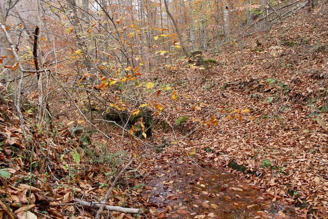 Autumn Ridge Tract 18 - Image 2