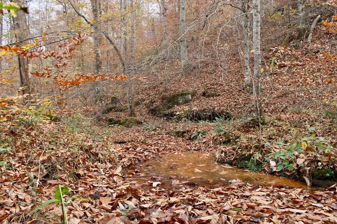Autumn Ridge Tract 18 in Leslie County, KY