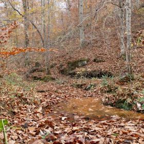 Autumn Ridge Tract 18 in Leslie County, KY