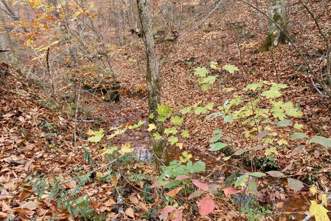 Decorative background for Autumn Ridge Tract 18 image 7