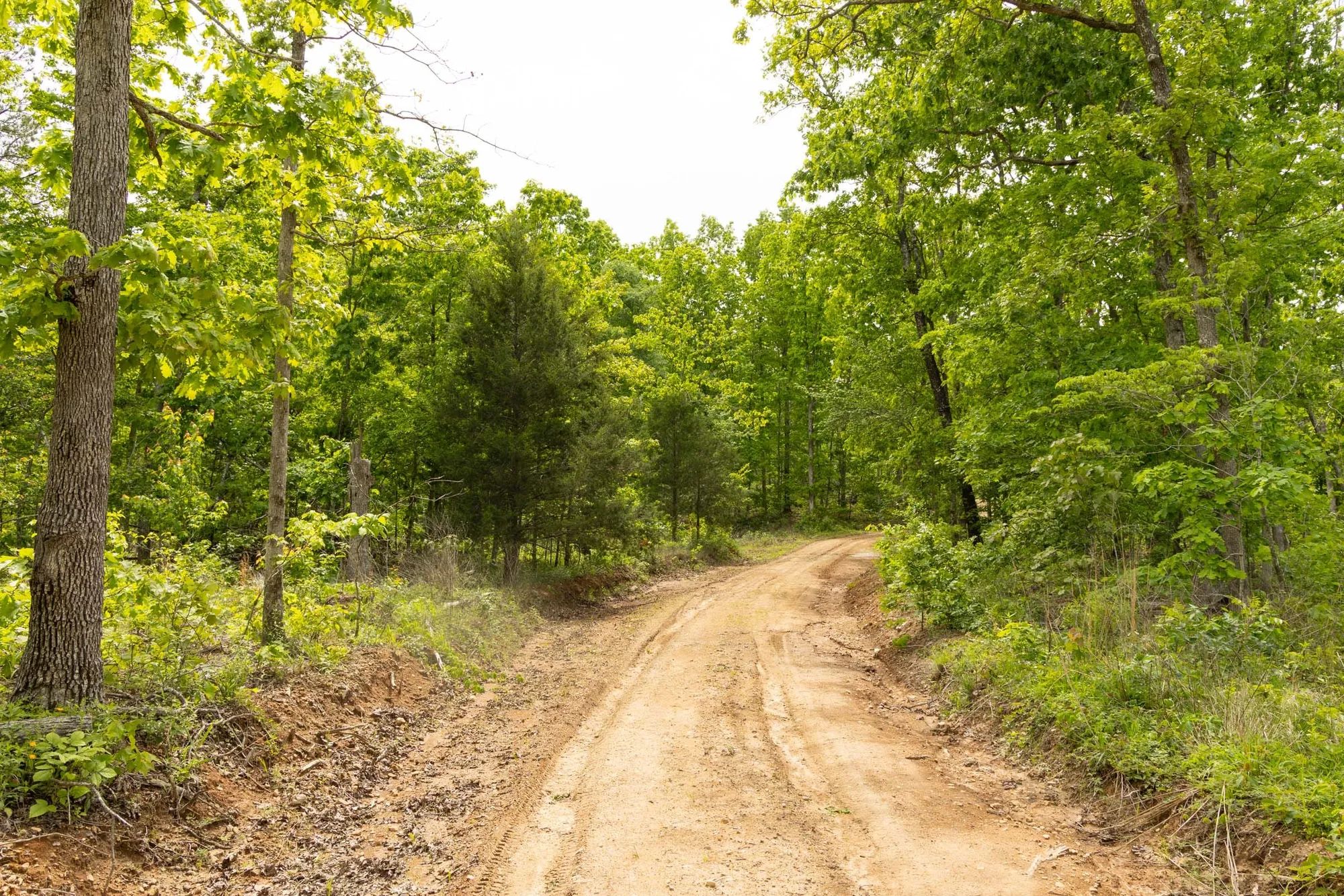 Stardust Estates Tract 8 in Reynolds County, MO