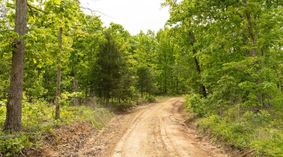Stardust Estates Tract 8 in Reynolds County, MO