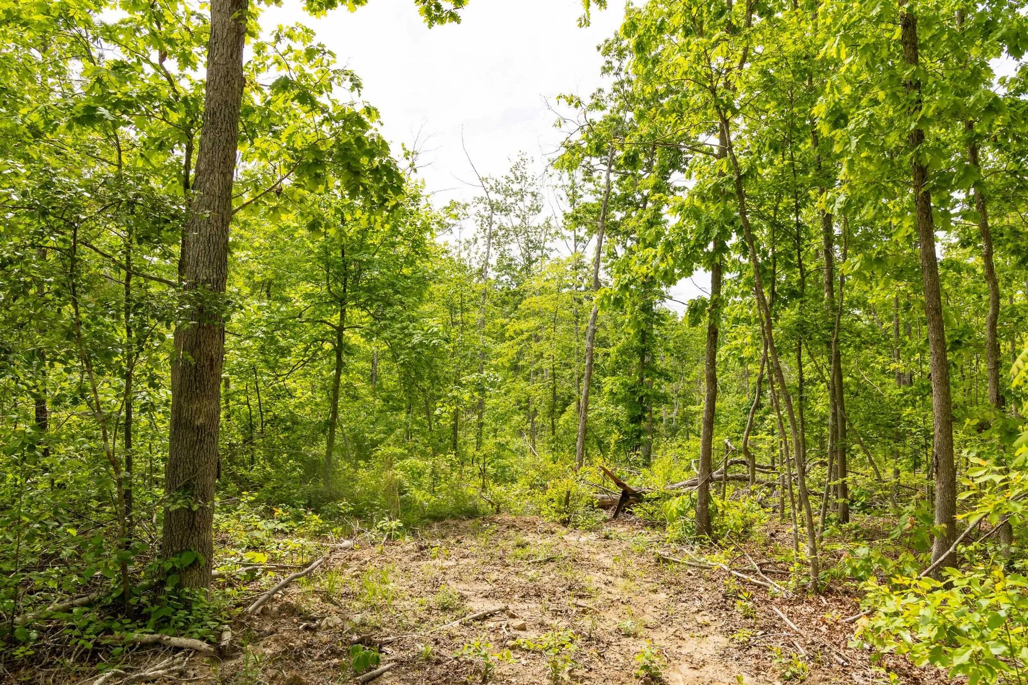 Stardust Estates Tract 8 in Reynolds County, MO