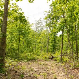 Stardust Estates Tract 8 in Reynolds County, MO