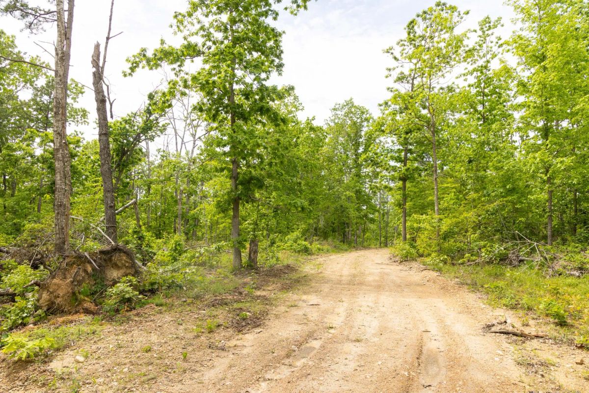 Decorative background for Stardust Estates Tract 8 image 6