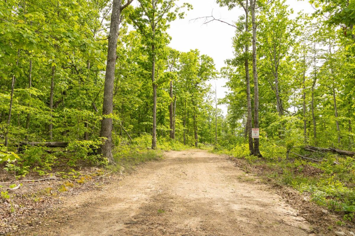 Decorative background for Stardust Estates Tract 8 image 10