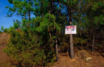 Stone Creek Phase II Tract 225