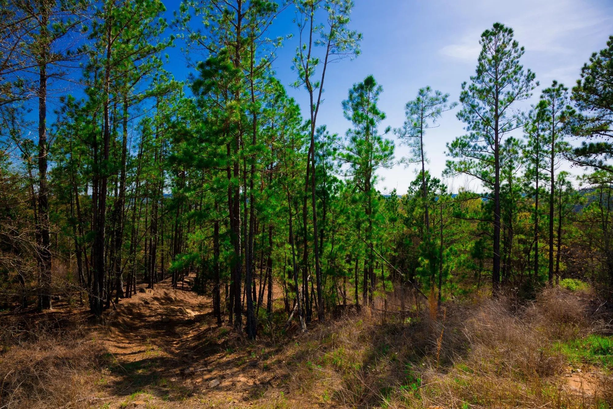 Stone Creek Phase II Tract 225 in Latimer County, OK