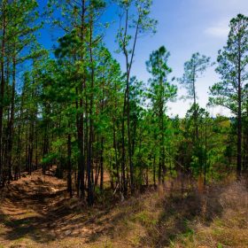 Stone Creek Phase II Tract 225 in Latimer County, OK