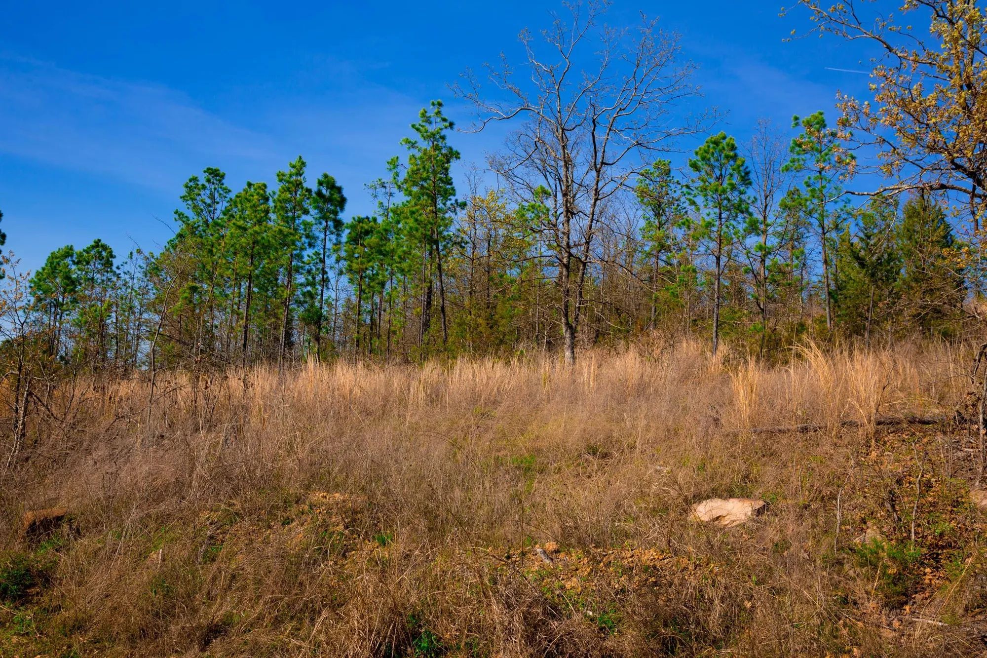 Stone Creek Phase II Tract 225 in Latimer County, OK