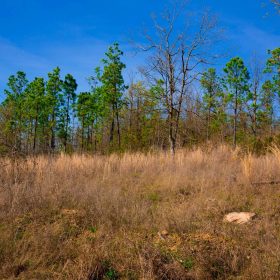 Stone Creek Phase II Tract 225 in Latimer County, OK